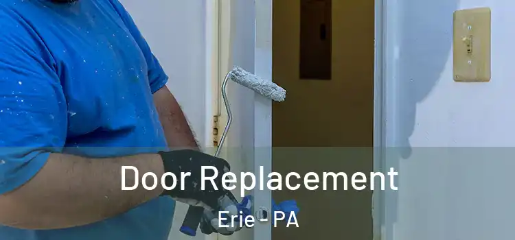  Door Replacement Erie - PA