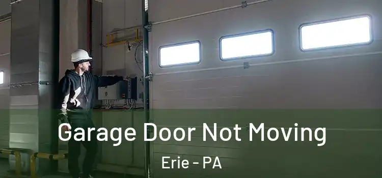 Garage Door Not Moving Erie - PA