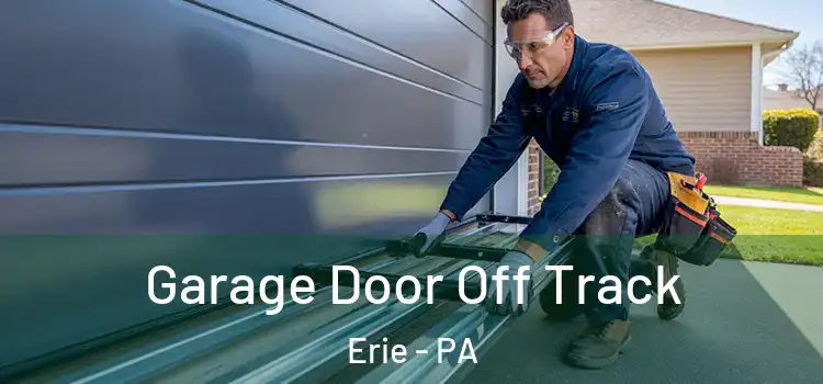  Garage Door Off Track Erie - PA