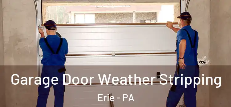  Garage Door Weather Stripping Erie - PA