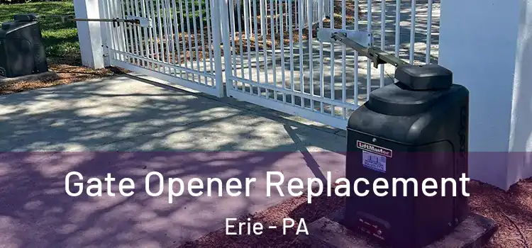 Gate Opener Replacement Erie - PA