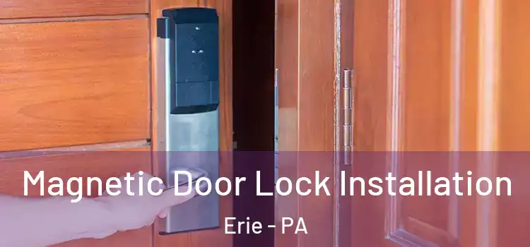  Magnetic Door Lock Installation Erie - PA