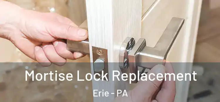 Mortise Lock Replacement Erie - PA